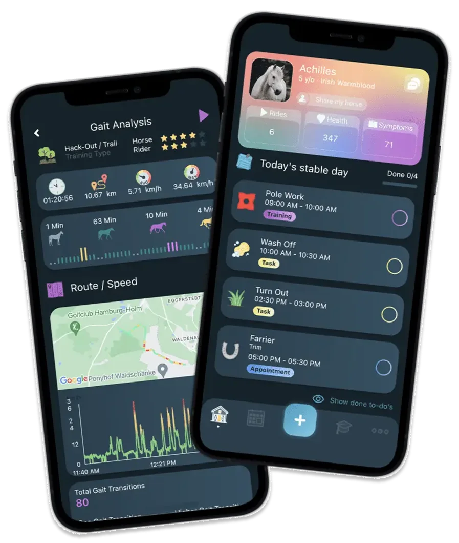 Tableau de bord d'une application de gestion équine avec tâches et programme d'entraînement
